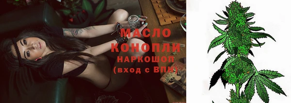 дмт Горняк