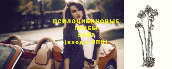 прущая мука Краснослободск