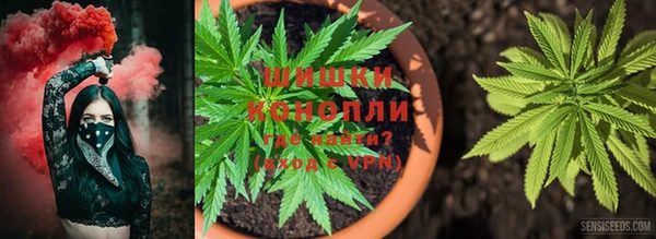 твердый Алзамай