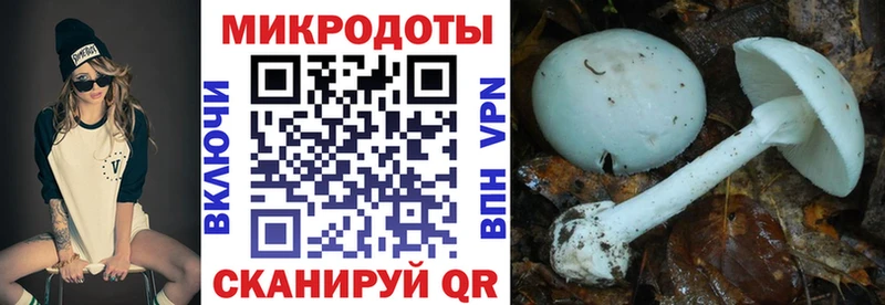 kraken ссылки  Катайск  Галлюциногенные грибы Cubensis 